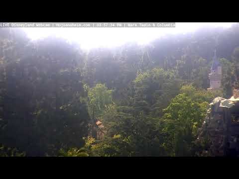 Live webcam of Disneyland Cam