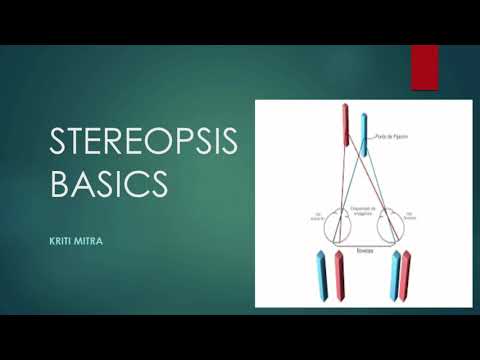 image-What is an example of stereopsis?