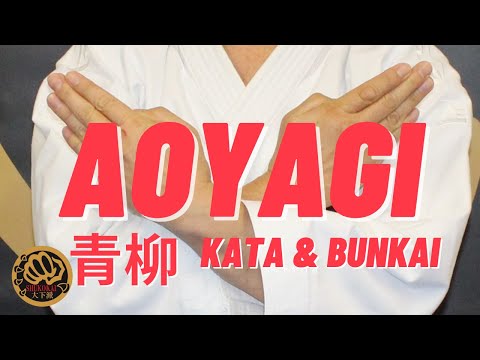 Shitoryu Kata AOYAGI青柳 & Bunkai explained by Japanese Karate Grand Master 10th Dan.