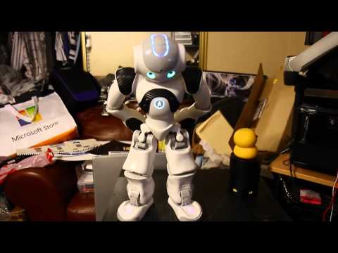 Nao Robot j2's simple Demo