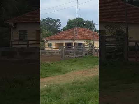 Jussara Go fazenda nova