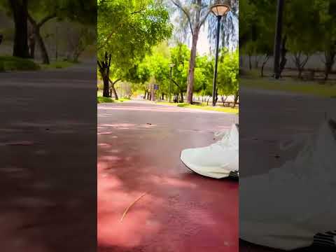 🌴 Exploring Nadd Al Shama Park, Dubai | Vlog 5 | June 18th 🌴 | #Dubai #Travel #InsideDubai #Shorts