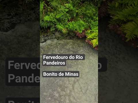 Fervedouro do Rio Pandeiros #natureza #bonito