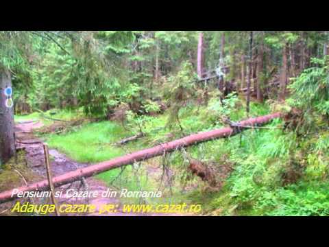 Cazare Stroiesti, Botosani - Cazat.ro