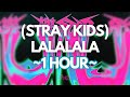 (1 HOUR) Stray Kids (스트레이 키즈) - LALALALA
