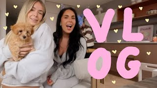 Ad | Blueberry Baylis Has Arrived!!! | Sophia And Cinzia