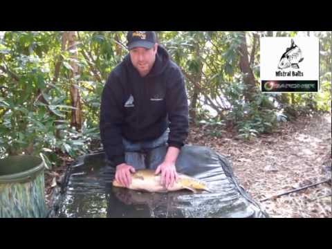 The Ian Lewis- Gardner Tackle, Mistral Bait Blog Episode One Yateley Match Lake