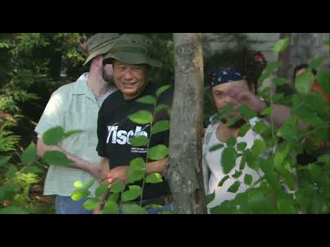 Taking Woodstock (2009)