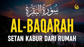 Download lagu SURAH AL-BAQARA - Setan kabur Dari Rumah - Penenang Hati dan Pikiran by AHMAD AL SHALABI mp3 Download lagu SURAH AL-BAQARA - Setan kabur Dari Rumah - Penenang Hati dan Pikiran by AHMAD AL SHALABI mp3