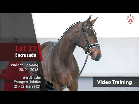 Westf.Youngster-Auktion 25.- 29. März 2021 Trainingsvideo Lot 23 Encruzado v.Erdinger - Dr.Doolittle
