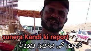 Download lagu Charna fishing report 2025 mp3