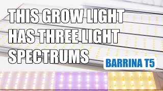 This Grow Light Has THREE Spectrums, Barrina T5 Grow Lights