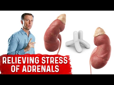 Sciatic Nerve Pain Be Gone Dr Berg s Quick Fix Solutions