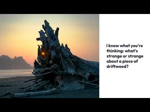 Wooooow 5 Stranger Things That Have Washed Ashore