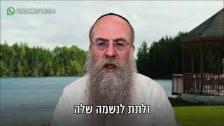 ממתק לשבת פרשת משפטים תשפ״ה (הרב נחמיה וילהלם) - התמונה מוצגת ישירות מתוך אתר האינטרנט יוטיוב. זכויות היוצרים בתמונה שייכות ליוצרה. קישור קרדיט למקור התוכן נמצא בתוך דף הסרטון