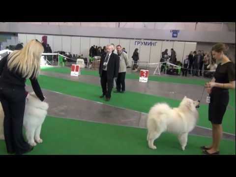 comparison on R. CACIB