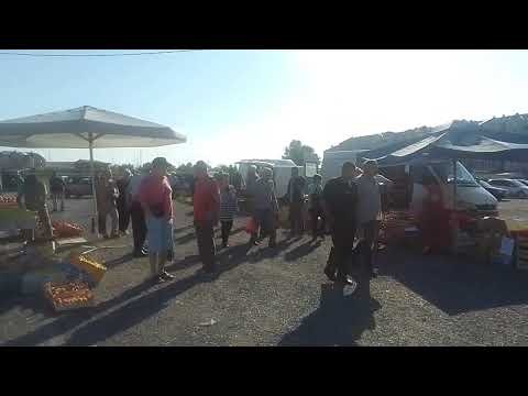 Pijaca Derventa 29 06 2023