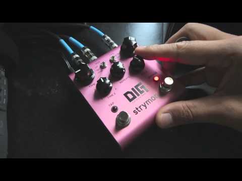 Messing with the Strymon DIG in Parallel Mode