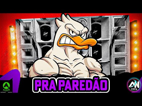 TOPS ARROCHADEIRA 2025 - AS MAIS TOCADAS PRA PAREDÃO - AS MELHORES DO TIK TOK 2025 - O PATÃO