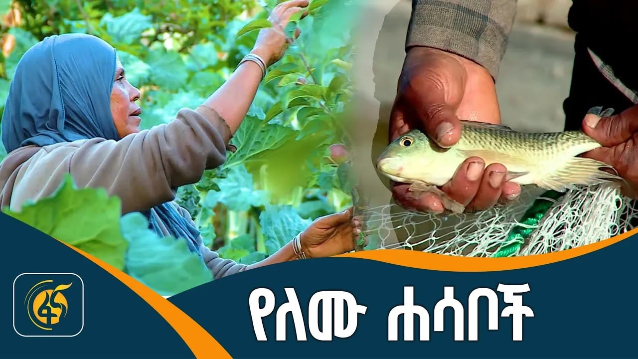 የተቀናጀ ግብርና