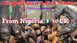 Cheapest Fish & Snail Market In Nigeria. || Sending Foodstuff To The UK 🇬🇧 From Nigeria