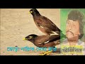 Jora Salik Dekha Valo Sokale Bikale | জোড়া শালিক দেখা ভালো | Song By Parikshit Bala