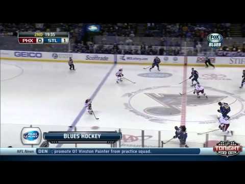 Phoenix Coyotes at St  Louis Blues   01\14\2014