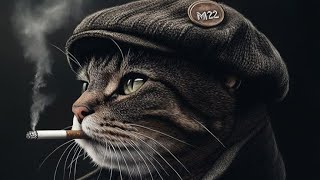 Download lagu Sean Paul – She Doesn’t Mind ( Remix 2025 | Extra Bass Edition) mp3