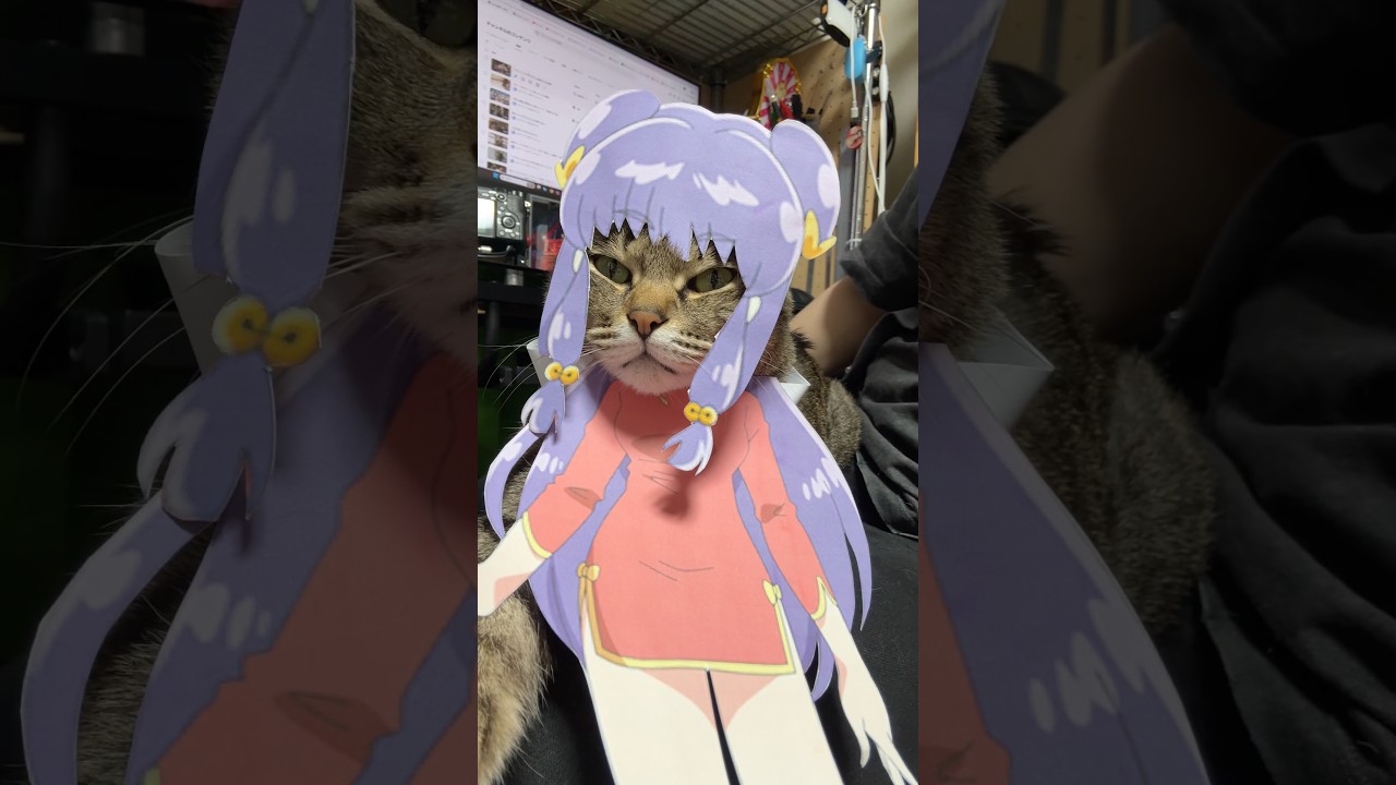 この場合、濡れたらなんになりますか？　#cat #コスプレ #らんま1/2