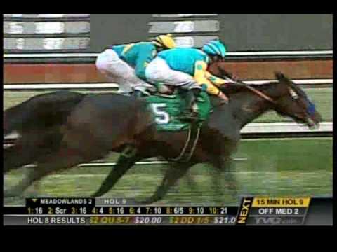 Pioneerof The Nile: G1 CashCall Futurity 12/20/2008