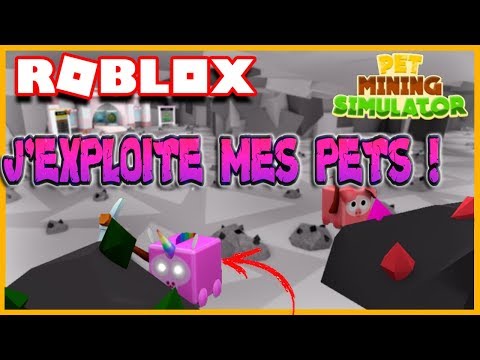 J'EXPLOITE MES PETS ! | Roblox Pet Mining Simulator