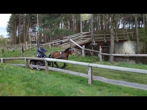 Fahrturnier Greffen 10.4.2022