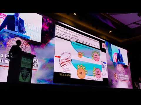 Pharmacogenetics of Antidepressants. 2019 Update.