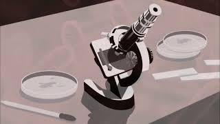 VAMPIRES REALLY EXIST?! | Vampire Island [TRAILER] | MagellanTV