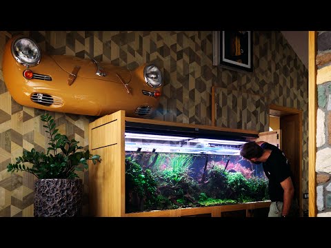 Maintenance on a 720-liter MESMERIZING Aquarium at a Client | Monday Maintenance Movies