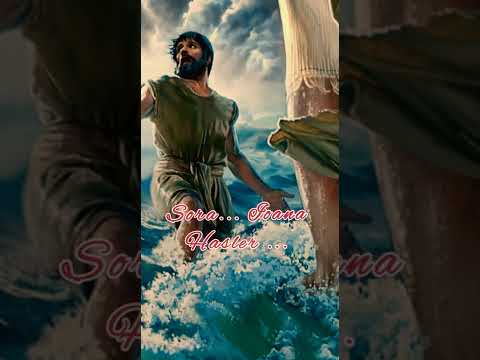 Sr.Ioana Hasler.Din n-oaptea grea.