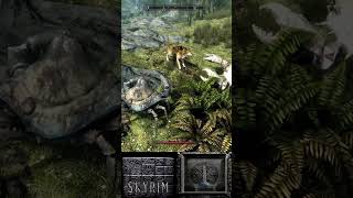 The many deaths of Skyrim #299