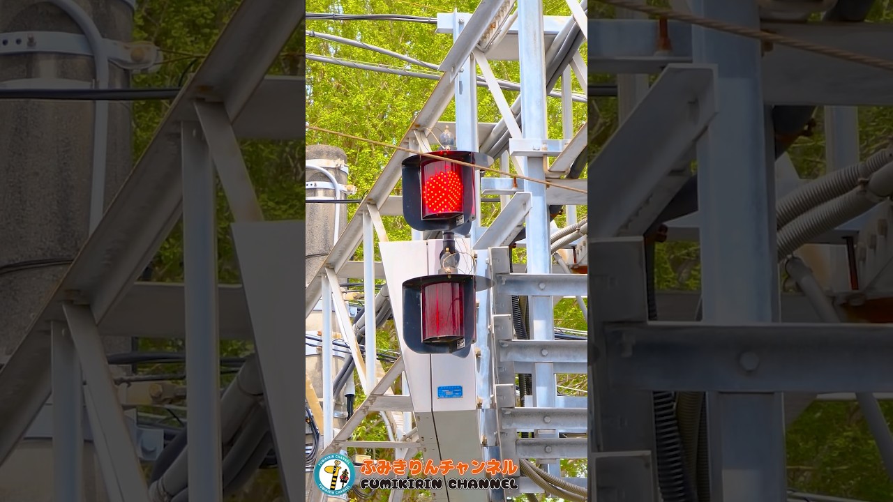 【踏切 電車】なにが通るかな？？？【ふみきりショート動画256】  #shorts