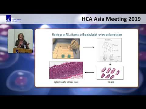 HCA Meeting Asia 2019: Keynote - Leveraging Lessons From The Gtex Project For The HCA