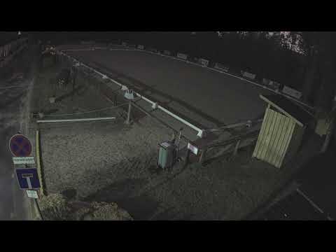 Leonberger Reiterspiele