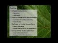 Using Infrared Thermometers For Plant Science Research Mark Blonquist