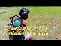 Pesticides Weedicides Paliboda Iseema Krumi Nashaka Iseema Wal Nashaka Iseema