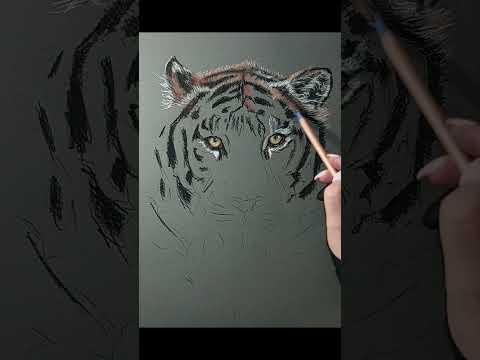 Proces   my pastels 