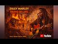 Ziggy Marley – Pains of Life | Roots Reggae Tribute by AMID