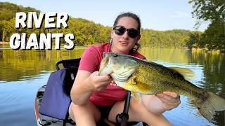 Fishing busy boat landings (Grinding for Giants Ep.3)