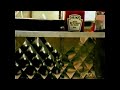 Heinz Ketchup Commercial 1999