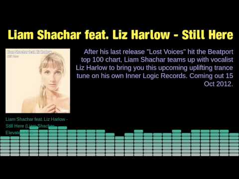 Liam Shachar feat. Liz Harlow - Still Here