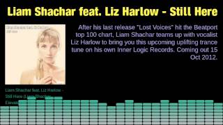 Liam Shachar feat. Liz Harlow - Still Here