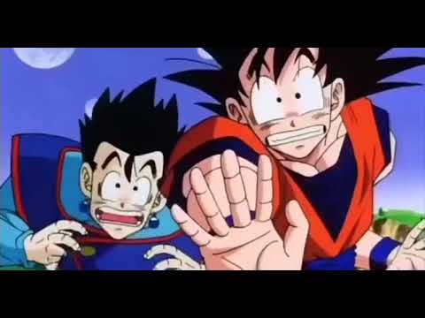 DBZ funny moments