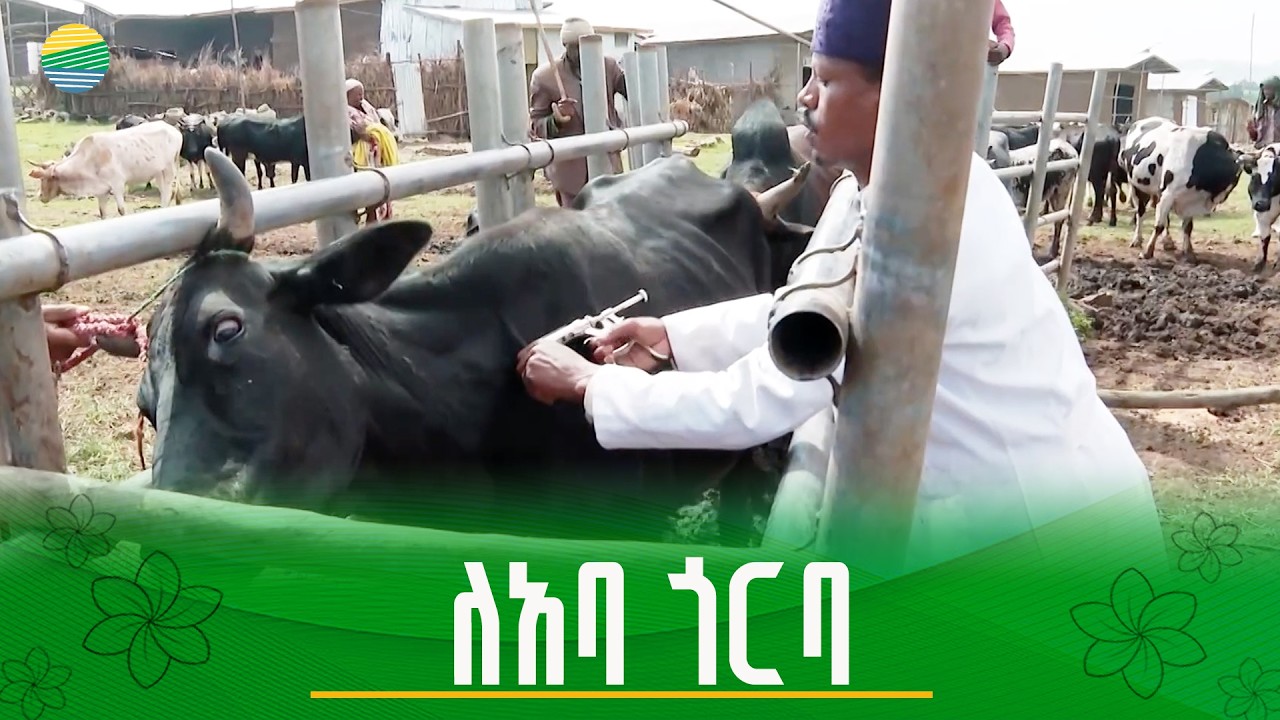 “ሁሉም ይዞ ይመጣል፤ ቤቱ የሚያስቀር የለም”